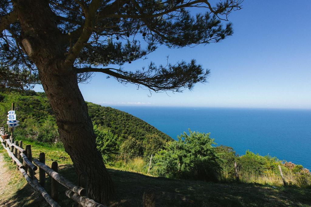 Torre Di Baratti Bio Resort Популония Екстериор снимка