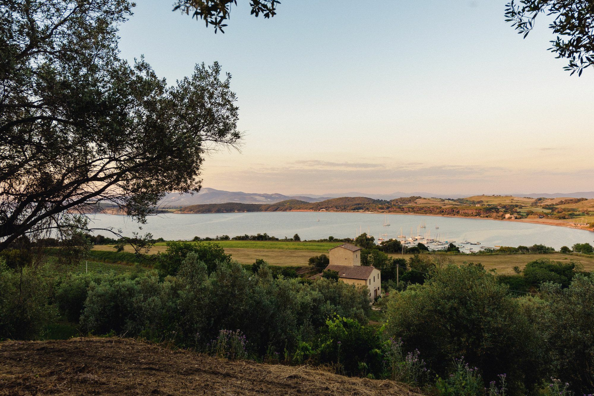 Torre Di Baratti Bio Resort Популония Екстериор снимка